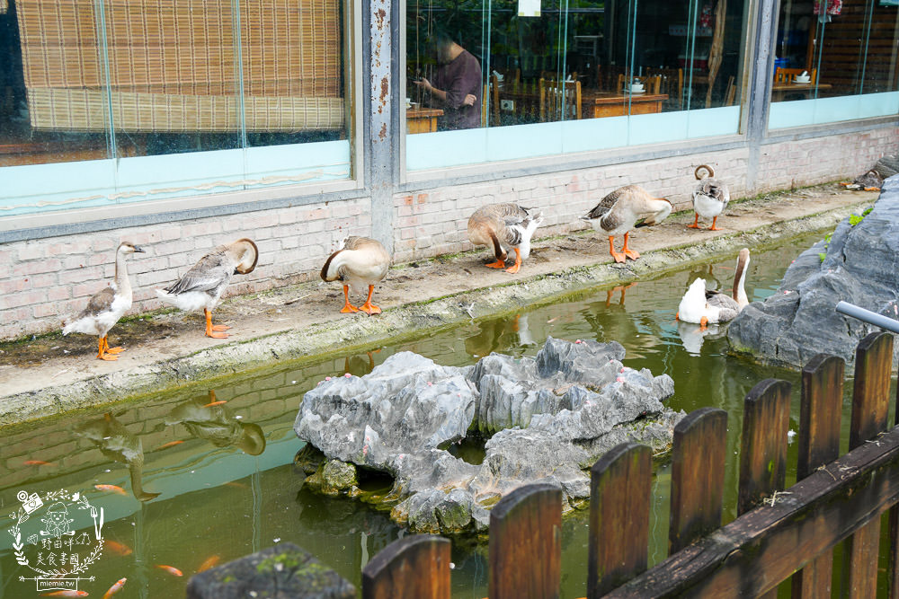 櫻の田野養生休閒農莊|超繽紛的野菜自助吧吃到飽！還有多種主餐跟飲料吧無限供應！