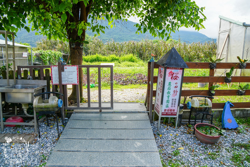 櫻の田野養生休閒農莊|超繽紛的野菜自助吧吃到飽！還有多種主餐跟飲料吧無限供應！