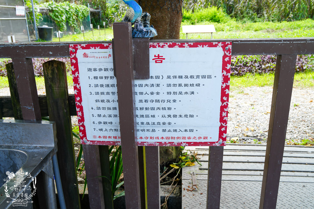 櫻の田野養生休閒農莊|超繽紛的野菜自助吧吃到飽！還有多種主餐跟飲料吧無限供應！