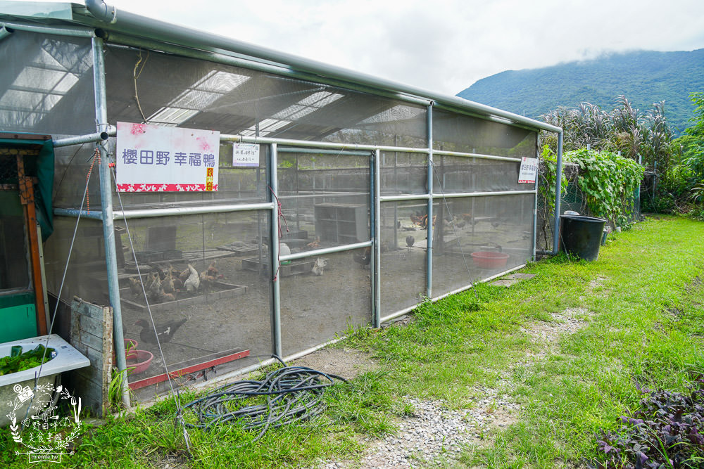 櫻の田野養生休閒農莊|超繽紛的野菜自助吧吃到飽！還有多種主餐跟飲料吧無限供應！