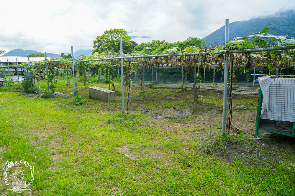 櫻の田野養生休閒農莊|超繽紛的野菜自助吧吃到飽！還有多種主餐跟飲料吧無限供應！