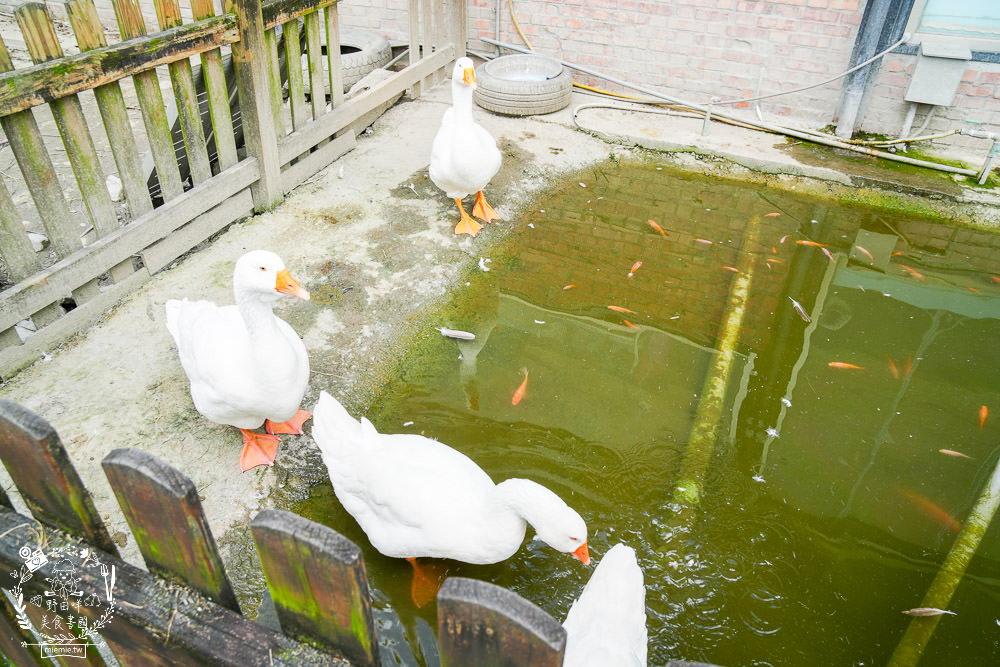 櫻の田野養生休閒農莊|超繽紛的野菜自助吧吃到飽！還有多種主餐跟飲料吧無限供應！