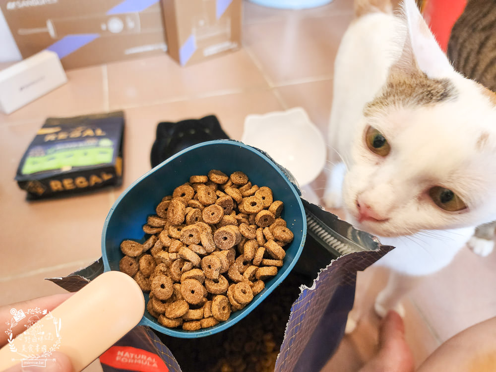 美國寵物飼料推薦[芮格爾天然寵糧]機能性飼料開箱！適口性極佳的貓咪飼料！