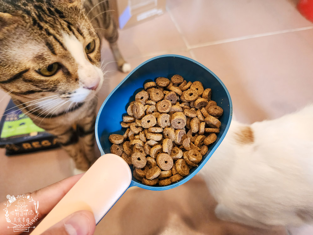 美國寵物飼料推薦[芮格爾天然寵糧]機能性飼料開箱！適口性極佳的貓咪飼料！