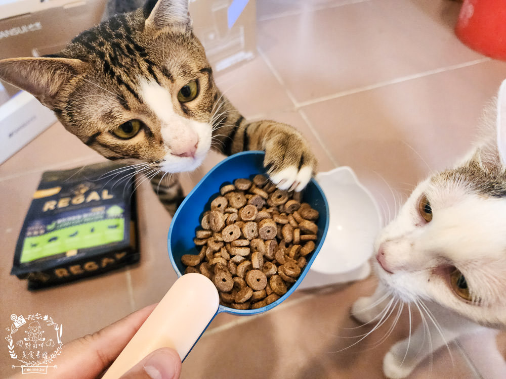 美國寵物飼料推薦[芮格爾天然寵糧]機能性飼料開箱！適口性極佳的貓咪飼料！