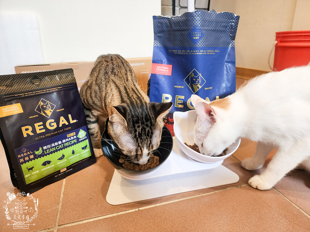 美國寵物飼料推薦[芮格爾天然寵糧]機能性飼料開箱！適口性極佳的貓咪飼料！