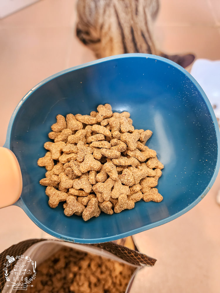美國寵物飼料推薦[芮格爾天然寵糧]機能性飼料開箱！適口性極佳的貓咪飼料！