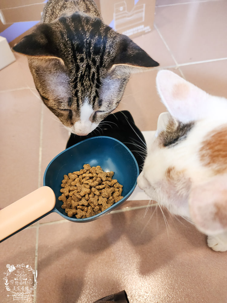 美國寵物飼料推薦[芮格爾天然寵糧]機能性飼料開箱！適口性極佳的貓咪飼料！