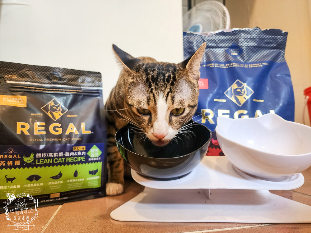 美國寵物飼料推薦[芮格爾天然寵糧]機能性飼料開箱！適口性極佳的貓咪飼料！