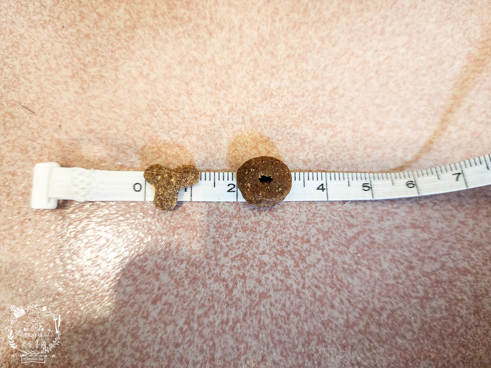 美國寵物飼料推薦[芮格爾天然寵糧]機能性飼料開箱！適口性極佳的貓咪飼料！