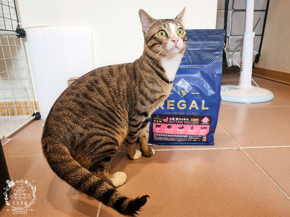美國寵物飼料推薦[芮格爾天然寵糧]機能性飼料開箱！適口性極佳的貓咪飼料！