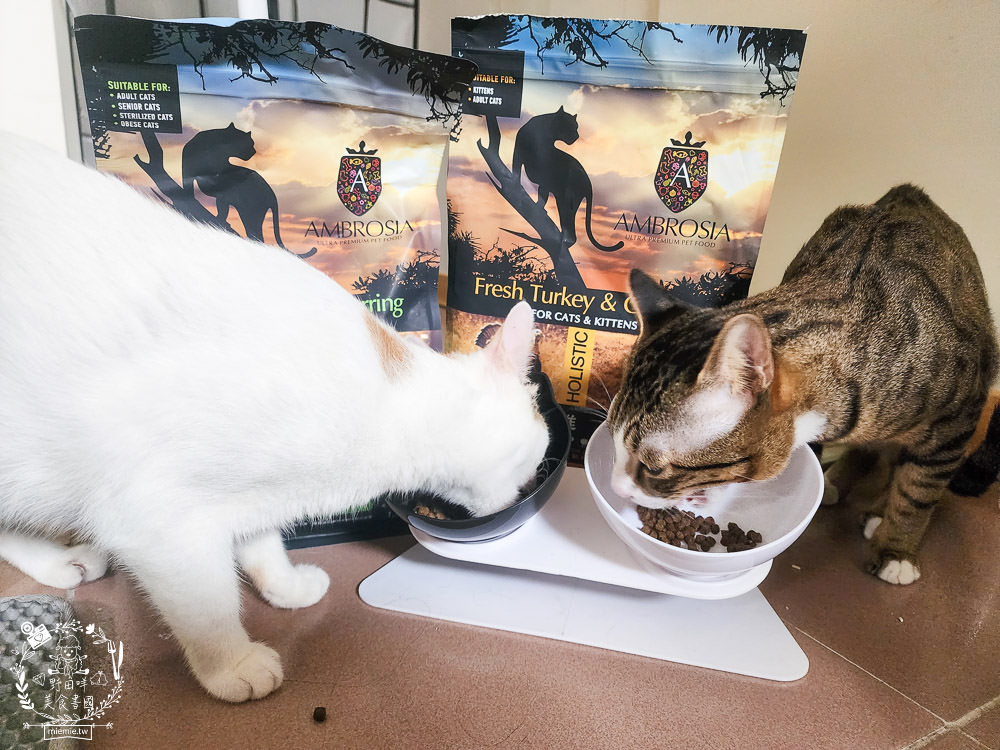 2024飼料推薦[王品寵物安柏希雅飼料評價]適口性極高的低敏無穀飼料貓糧推薦!