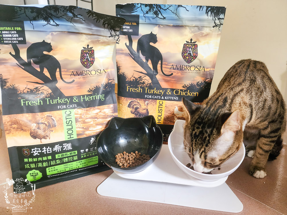 2024飼料推薦[王品寵物安柏希雅飼料評價]適口性極高的低敏無穀飼料貓糧推薦!