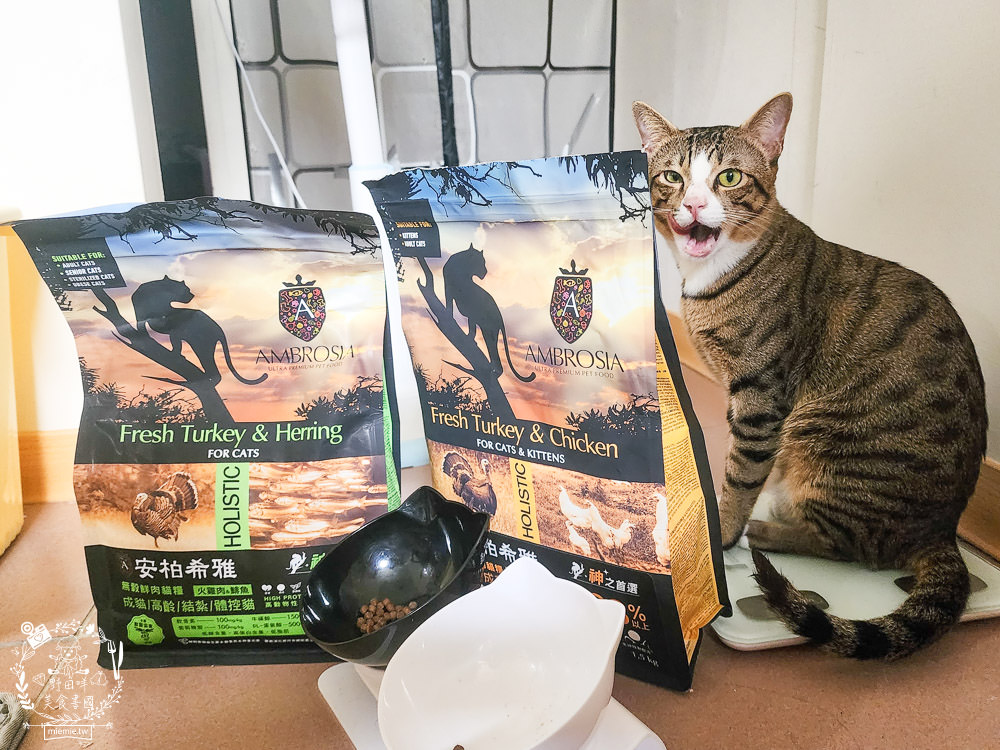 2024飼料推薦[王品寵物安柏希雅飼料評價]適口性極高的低敏無穀飼料貓糧推薦!