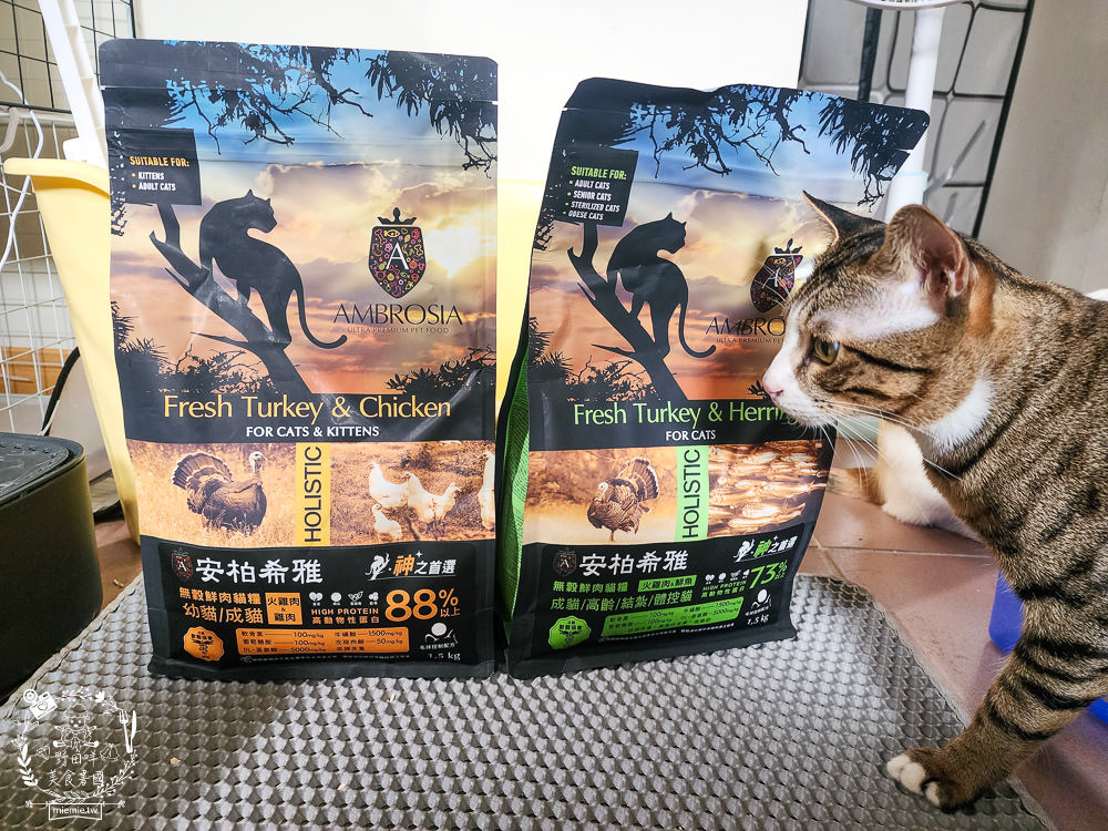 2024飼料推薦[王品寵物安柏希雅飼料評價]適口性極高的低敏無穀飼料貓糧推薦!