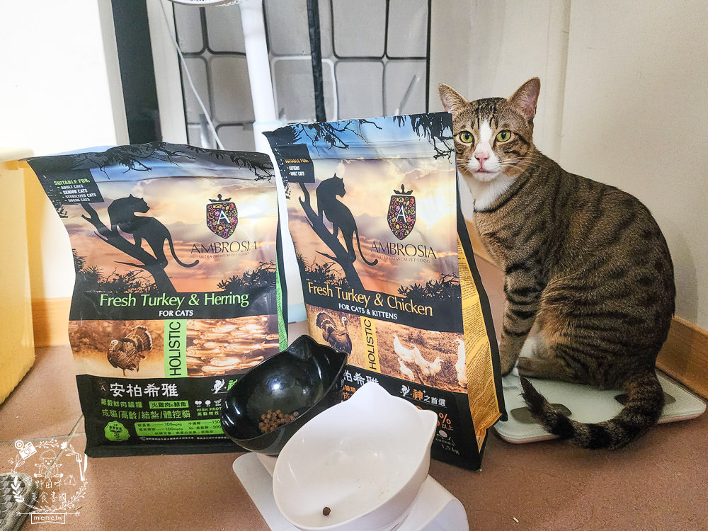 2024飼料推薦[王品寵物安柏希雅飼料評價]適口性極高的低敏無穀飼料貓糧推薦!