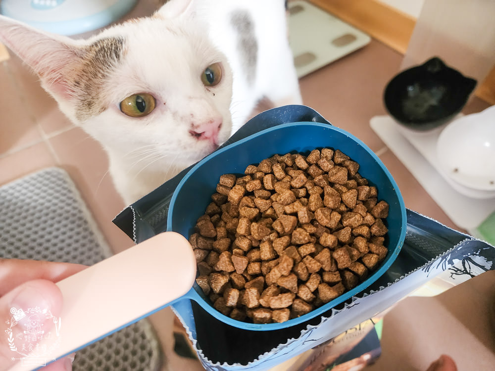 2024飼料推薦[王品寵物安柏希雅飼料評價]適口性極高的低敏無穀飼料貓糧推薦!