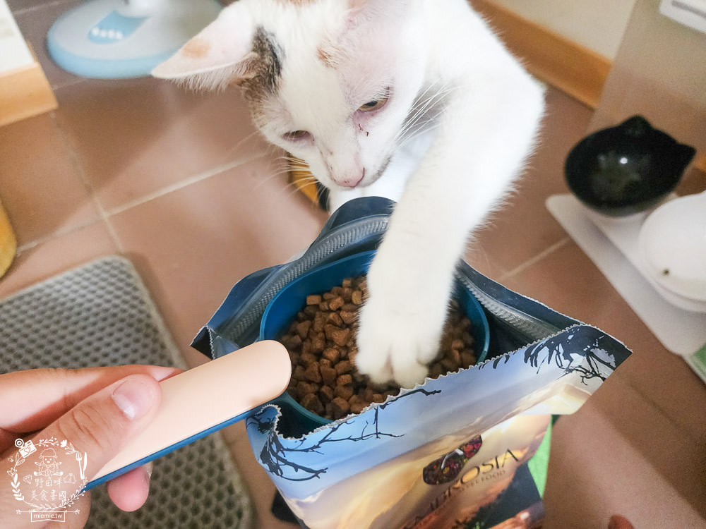 2024飼料推薦[王品寵物安柏希雅飼料評價]適口性極高的低敏無穀飼料貓糧推薦!