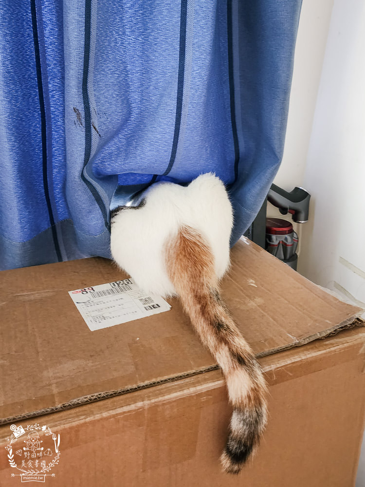 2024飼料推薦[王品寵物安柏希雅飼料評價]適口性極高的低敏無穀飼料貓糧推薦!