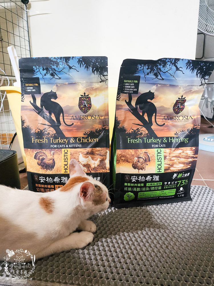 2024飼料推薦[王品寵物安柏希雅飼料評價]適口性極高的低敏無穀飼料貓糧推薦!
