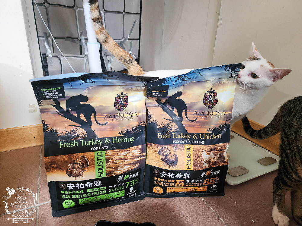 2024飼料推薦[王品寵物安柏希雅飼料評價]適口性極高的低敏無穀飼料貓糧推薦!