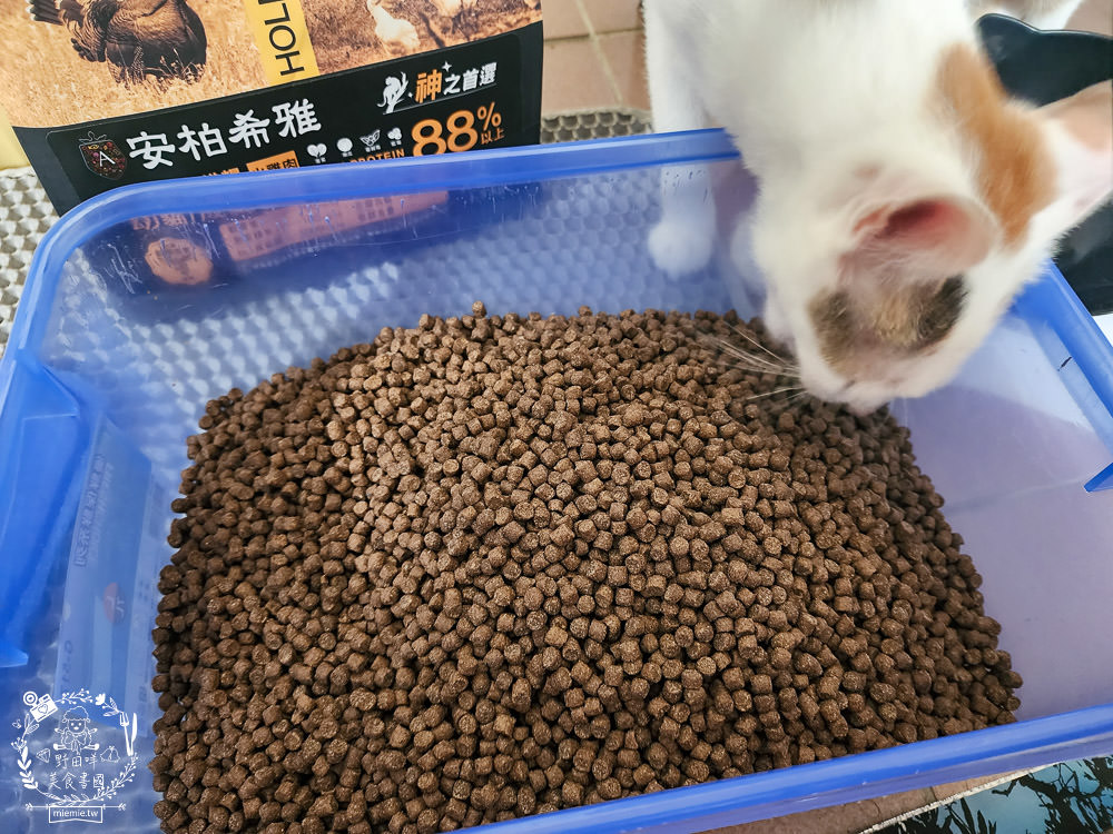 2024飼料推薦[王品寵物安柏希雅飼料評價]適口性極高的低敏無穀飼料貓糧推薦!
