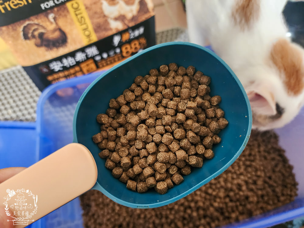 2024飼料推薦[王品寵物安柏希雅飼料評價]適口性極高的低敏無穀飼料貓糧推薦!