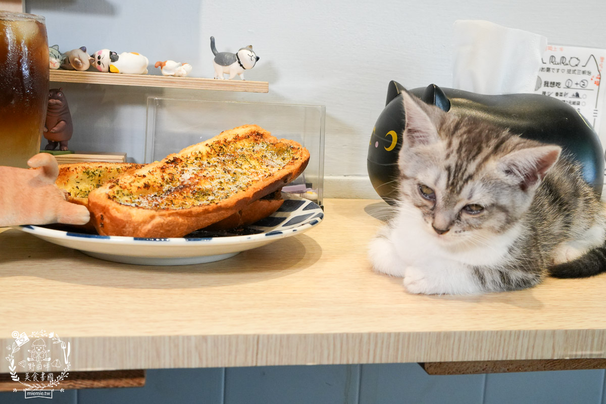 如如貓です·法式三明治RuRuCat sandwich 高雄貓咪餐廳 69