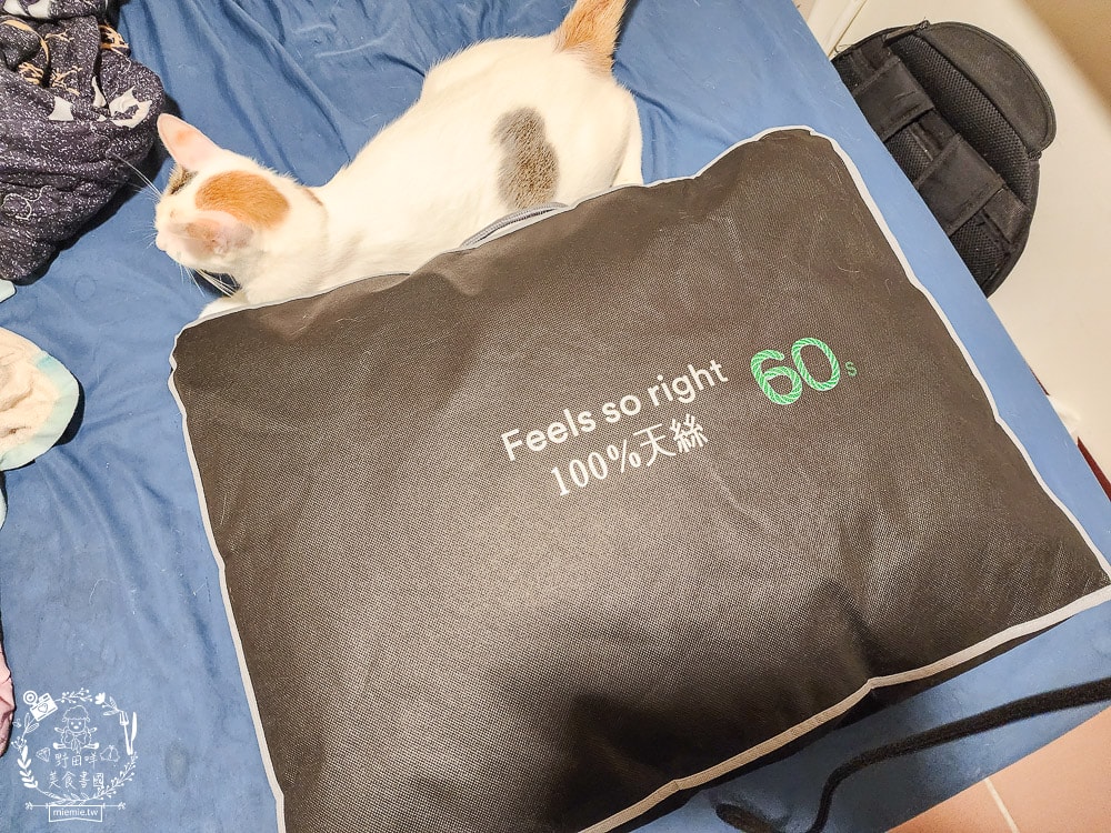 天絲床包推薦[伯尼寢具]暢首易言獨家聯名款60支天絲喵喵甜心床包兩用被組！台灣夏天必備涼爽床被！