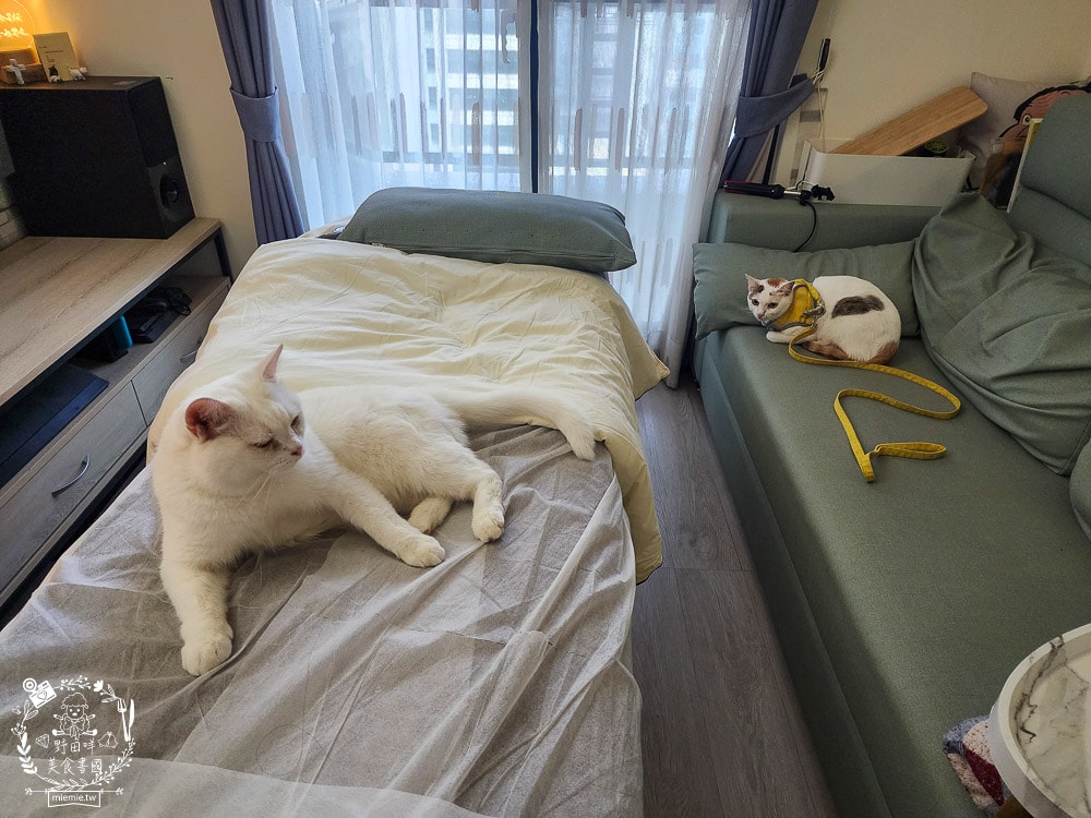 高雄做臉推薦[拾月美容工作室]舒適有感的a-GA1液態飛梭|讀者有八折優惠|高雄美容推薦！