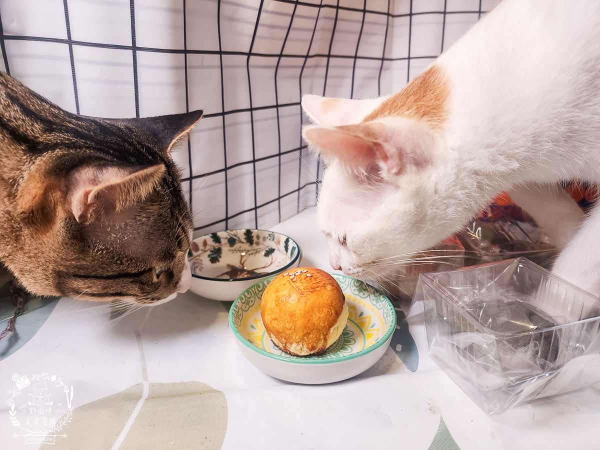 中秋節禮盒推薦[王西勢蛋黃酥禮盒]超多口味的人氣蛋黃酥禮盒！精美禮盒送禮自用兩相宜～