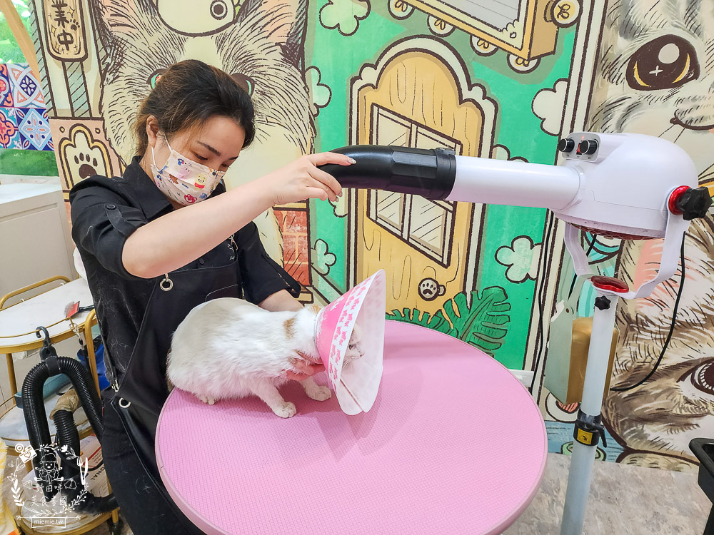 高雄寵物美容推薦|CafeDOG寵物沙龍|超頂級的三步洗護理!頂級豪車免費接送服務! - 第47張圖 高雄寵物美容推薦|CafeDOG寵物沙龍|超頂級的三步洗護理!頂級豪車免費接送服務!