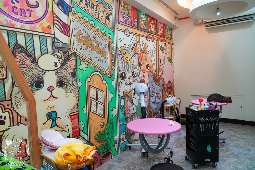 高雄寵物美容推薦|CafeDOG寵物沙龍|超頂級的三步洗護理!頂級豪車免費接送服務! - 第20張圖 高雄寵物美容推薦|CafeDOG寵物沙龍|超頂級的三步洗護理!頂級豪車免費接送服務!