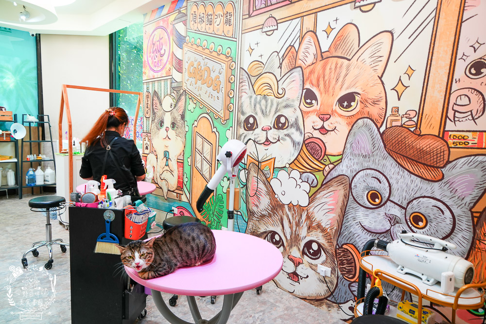 高雄寵物美容推薦|CafeDOG寵物沙龍|超頂級的三步洗護理!頂級豪車免費接送服務! - 第19張圖 高雄寵物美容推薦|CafeDOG寵物沙龍|超頂級的三步洗護理!頂級豪車免費接送服務!