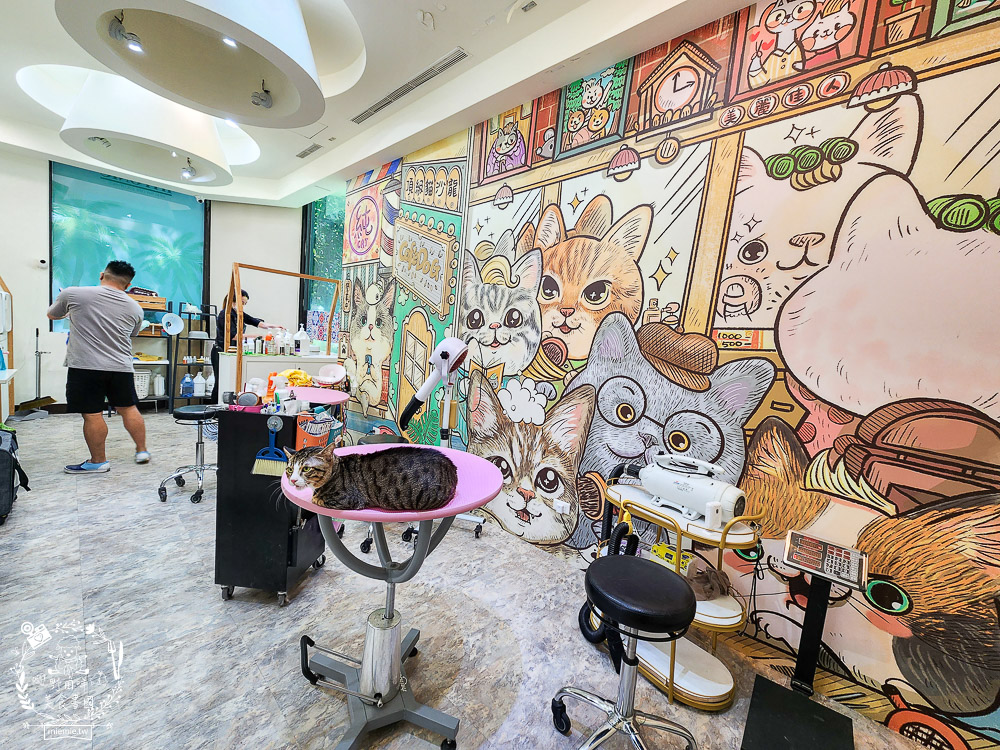 高雄寵物美容推薦|CafeDOG寵物沙龍|超頂級的三步洗護理!頂級豪車免費接送服務! - 第18張圖 高雄寵物美容推薦|CafeDOG寵物沙龍|超頂級的三步洗護理!頂級豪車免費接送服務!