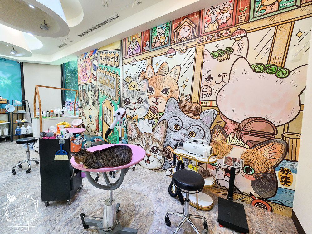 高雄寵物美容推薦|CafeDOG寵物沙龍|超頂級的三步洗護理!頂級豪車免費接送服務! - 第16張圖 高雄寵物美容推薦|CafeDOG寵物沙龍|超頂級的三步洗護理!頂級豪車免費接送服務!