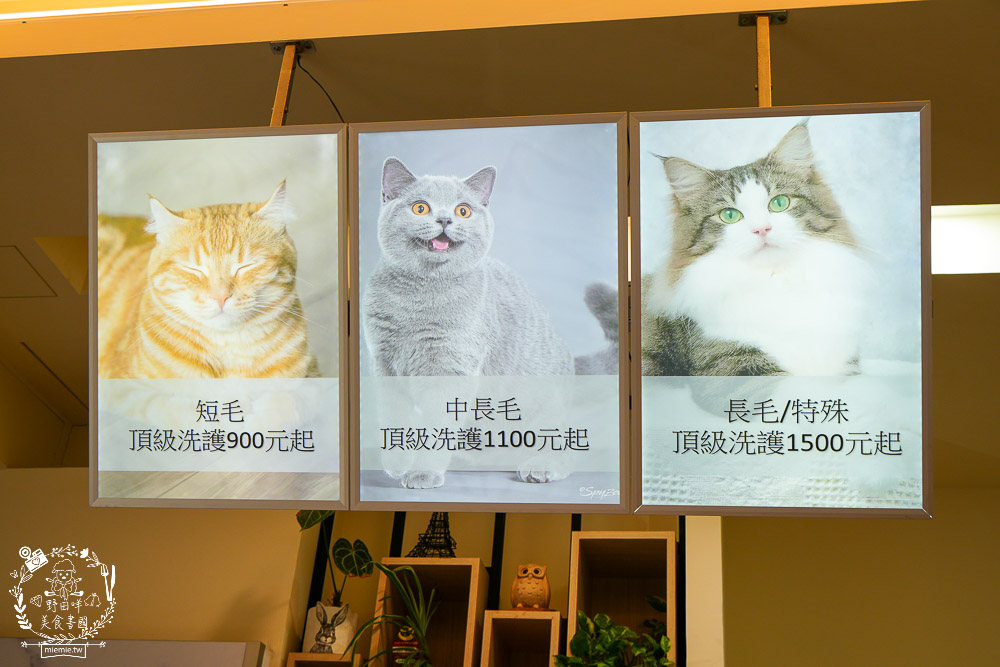 高雄寵物美容推薦|CafeDOG寵物沙龍|超頂級的三步洗護理!頂級豪車免費接送服務! - 第14張圖 高雄寵物美容推薦|CafeDOG寵物沙龍|超頂級的三步洗護理!頂級豪車免費接送服務!