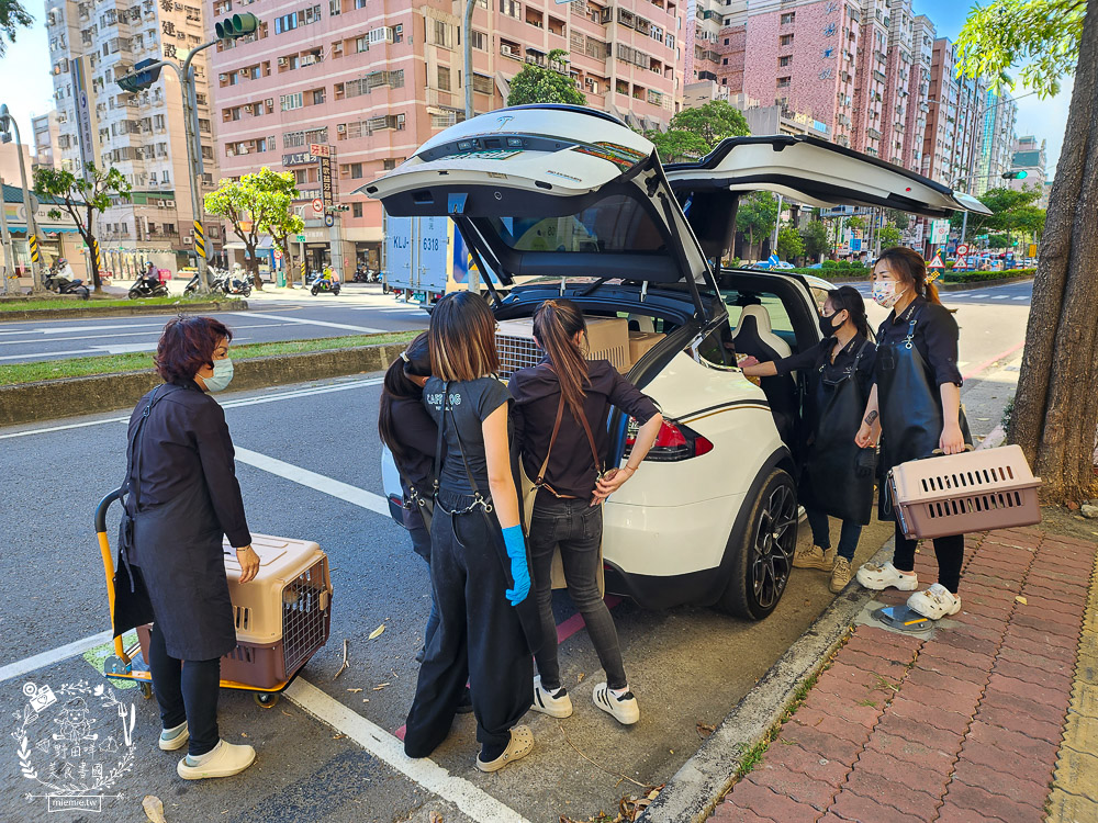 高雄寵物美容推薦|CafeDOG寵物沙龍|超頂級的三步洗護理!頂級豪車免費接送服務! - 第58張圖 高雄寵物美容推薦|CafeDOG寵物沙龍|超頂級的三步洗護理!頂級豪車免費接送服務!