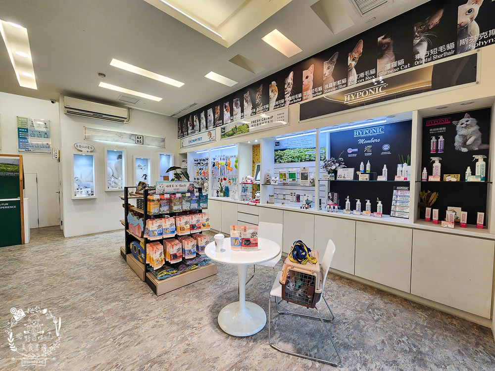 高雄寵物美容推薦|CafeDOG寵物沙龍|超頂級的三步洗護理!頂級豪車免費接送服務! - 第4張圖 高雄寵物美容推薦|CafeDOG寵物沙龍|超頂級的三步洗護理!頂級豪車免費接送服務!