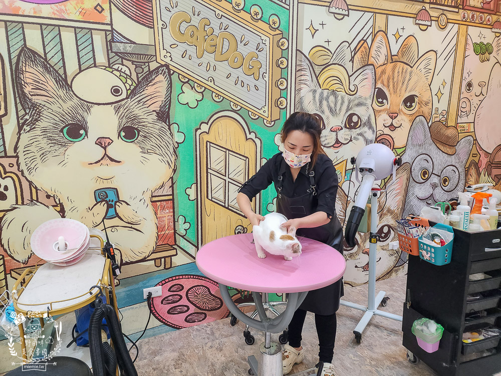 高雄寵物美容推薦|CafeDOG寵物沙龍|超頂級的三步洗護理!頂級豪車免費接送服務! - 第23張圖 高雄寵物美容推薦|CafeDOG寵物沙龍|超頂級的三步洗護理!頂級豪車免費接送服務!