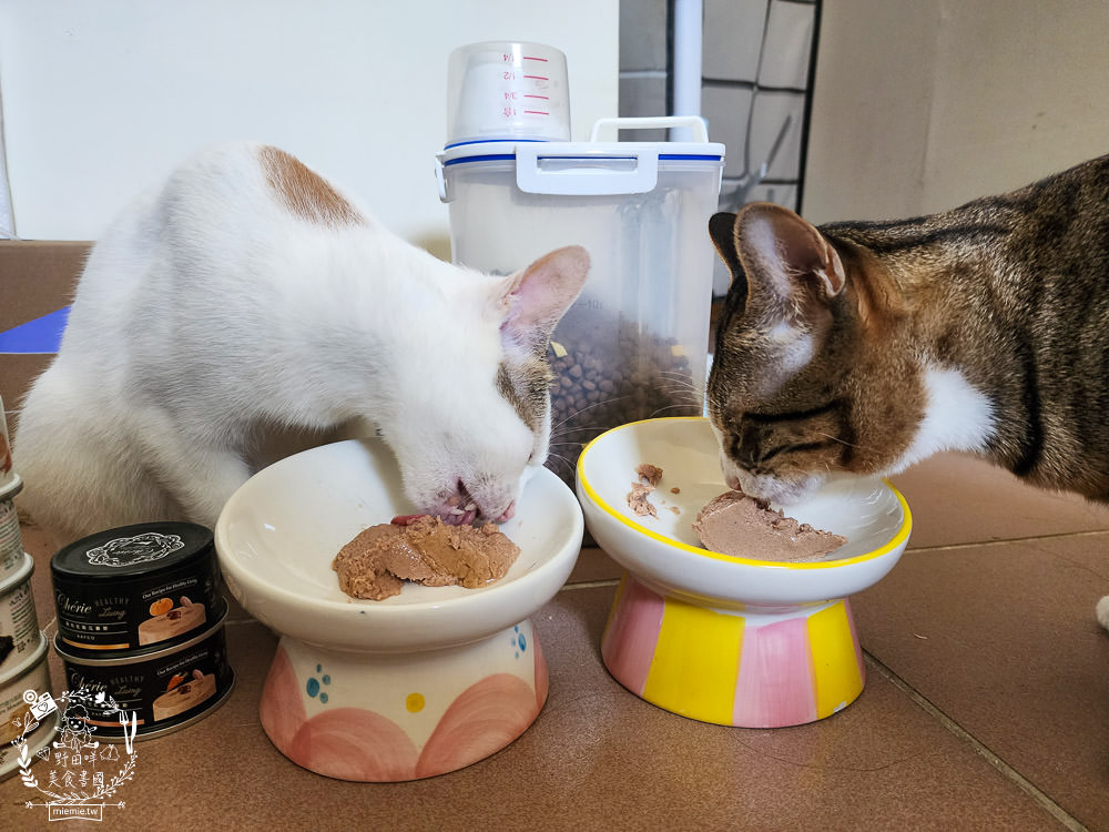 Natural Kitty自然小貓低碳無穀凍乾糧+Cherie法麗主食罐|高蛋白低碳水的貓咪無穀乾糧與主食罐！