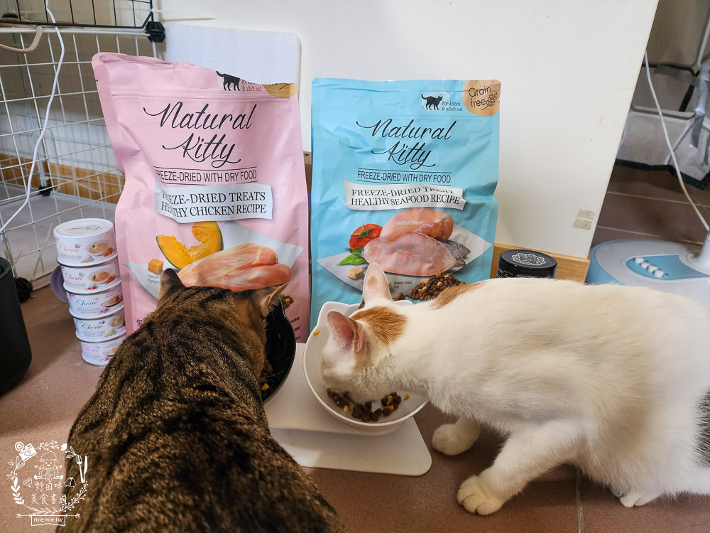 Natural Kitty自然小貓低碳無穀凍乾糧+Cherie法麗主食罐|高蛋白低碳水的貓咪無穀乾糧與主食罐! - 第10張圖 Natural Kitty自然小貓低碳無穀凍乾糧+Cherie法麗主食罐|高蛋白低碳水的貓咪無穀乾糧與主食罐!