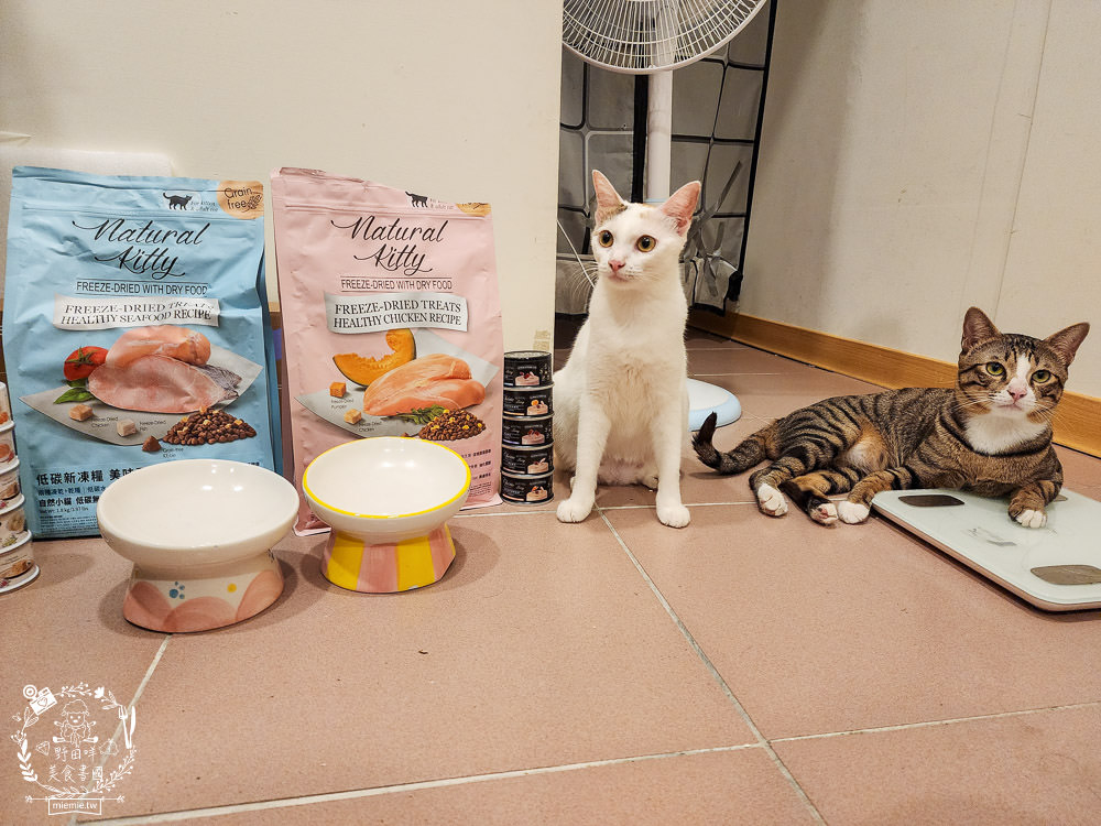 Natural Kitty自然小貓低碳無穀凍乾糧+Cherie法麗主食罐|高蛋白低碳水的貓咪無穀乾糧與主食罐! - 第19張圖 Natural Kitty自然小貓低碳無穀凍乾糧+Cherie法麗主食罐|高蛋白低碳水的貓咪無穀乾糧與主食罐!