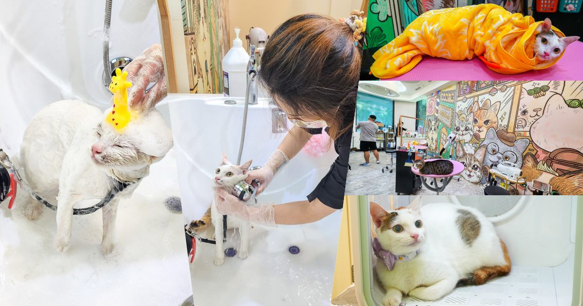 高雄寵物美容推薦|CafeDOG寵物沙龍|超頂級的三步洗護理!頂級豪車免費接送服務! - 第1張圖 高雄寵物美容推薦|CafeDOG寵物沙龍|超頂級的三步洗護理!頂級豪車免費接送服務!