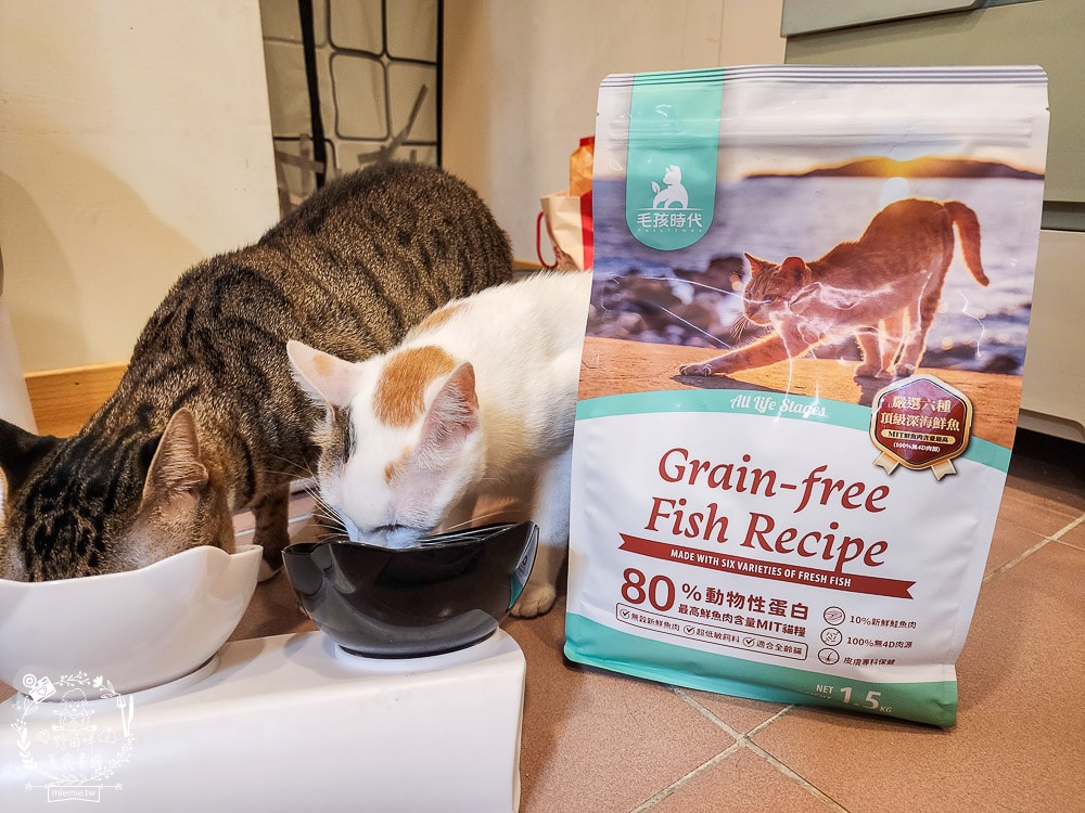 毛孩時代85%鮮雞肉無穀全貓糧&80%鮮魚肉無穀全貓糧|高蛋白低碳水的貓咪無穀貓糧推薦