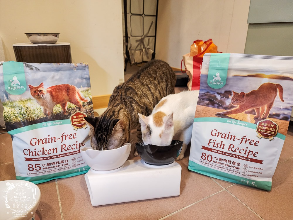 毛孩時代85%鮮雞肉無穀全貓糧&80%鮮魚肉無穀全貓糧|高蛋白低碳水的貓咪無穀貓糧推薦