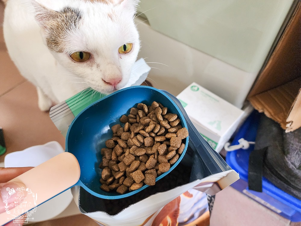 毛孩時代85%鮮雞肉無穀全貓糧&80%鮮魚肉無穀全貓糧|高蛋白低碳水的貓咪無穀貓糧推薦