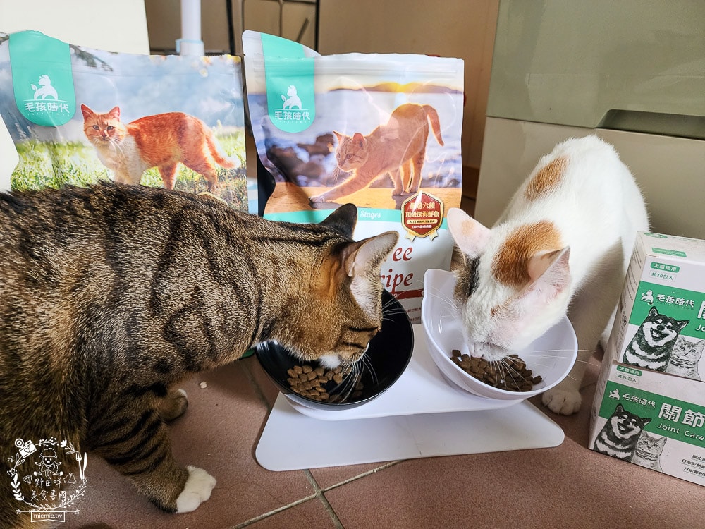 毛孩時代85%鮮雞肉無穀全貓糧&80%鮮魚肉無穀全貓糧|高蛋白低碳水的貓咪無穀貓糧推薦