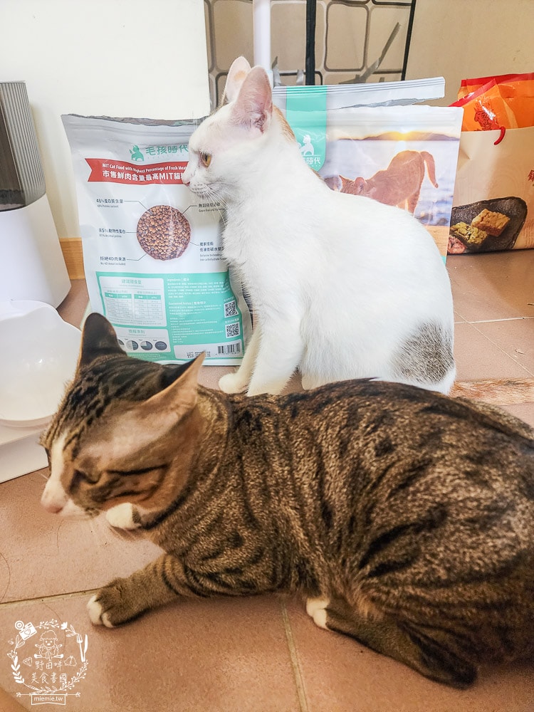 毛孩時代85%鮮雞肉無穀全貓糧&80%鮮魚肉無穀全貓糧|高蛋白低碳水的貓咪無穀貓糧推薦