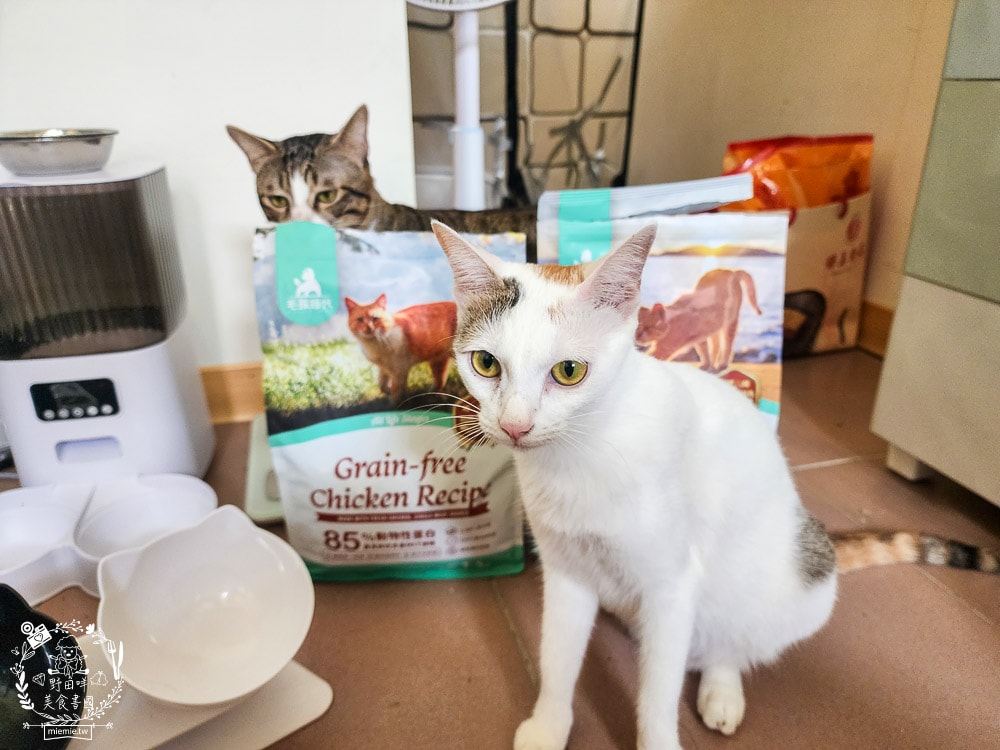 毛孩時代85%鮮雞肉無穀全貓糧&80%鮮魚肉無穀全貓糧|高蛋白低碳水的貓咪無穀貓糧推薦